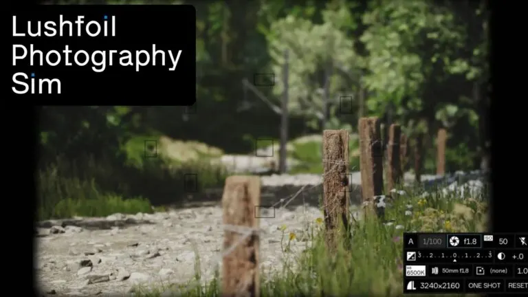 Graph 5: Lushfoil Photography Sim Cover Image - Hatchet