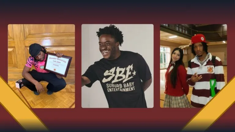 Graph 4: Profile Pictures of Streamer University Participants - Hatchet